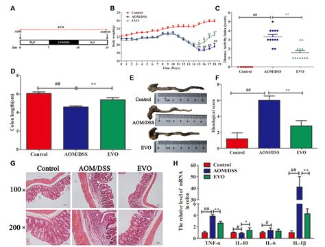 Figure 1 From Amelioration Of Aomdss Induced Murine Colitis Associated