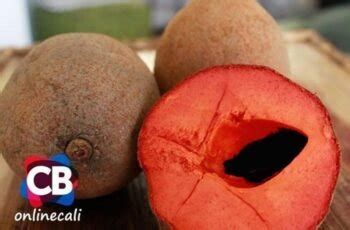 Descubre Las Sorprendentes Variedades De Zapote Y Sus Diferencias