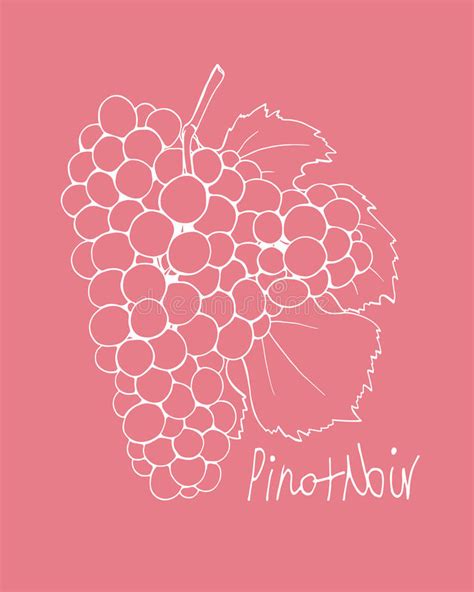 Modelo De Las Uvas De Vino Ilustraci N Del Vector Ilustraci N De