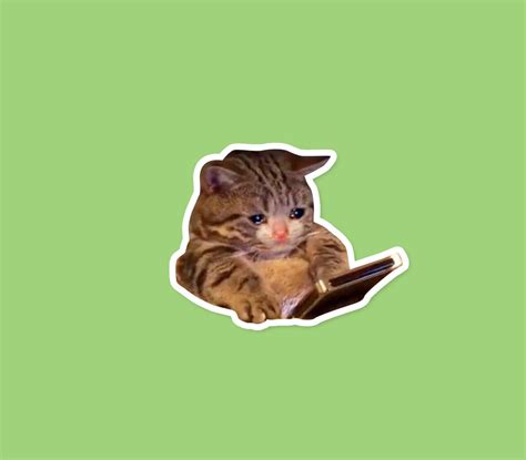 Crying Cat Thumbs Up Meme Sticker Meme Sticker Cat Sticker Etsy