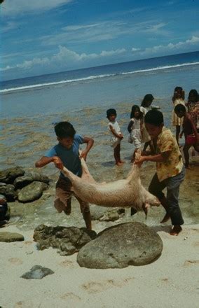 500 Bikini Atoll Marshall Islands Stock Pictures Editorial Images And Stock Photos Shutterstock