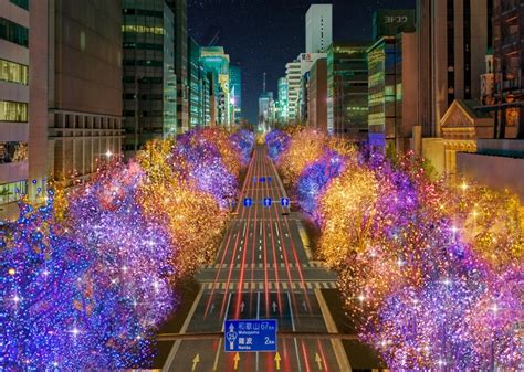 画像大阪光の饗宴2023開幕御堂筋がイルミの優しいきらめきに包まれる約4の光の道 Peachy ライブドアニュース