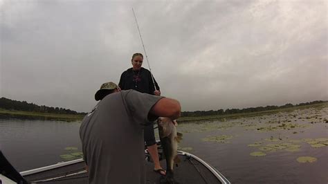 Fishing Lily Pads For Big Bass Lake Hernando Fl Bass Lake Bass