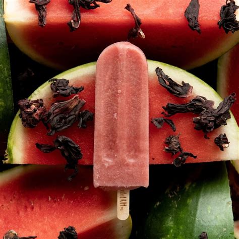 Watermelon Hibiscus — The Hyppo Gourmet Ice Pops