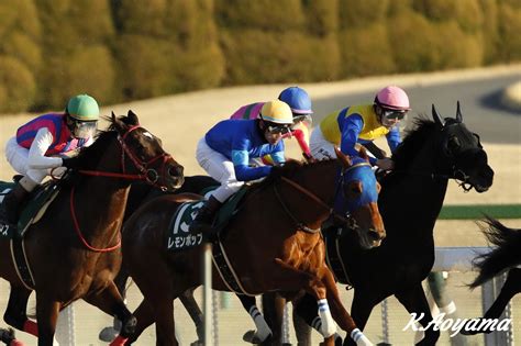 根岸ステークスとシルクロードステークス 競馬情報ハミ受け良好