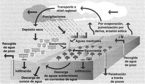 Cap Tulo La Importancia De Abordar El Problema De Las Existencias De