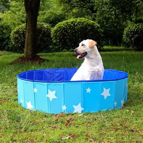 Piscine Pour Chien Baignoire Pliable Pour Chien Pataugeoire Grande