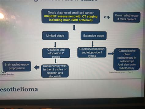 Lung Cancer Flashcards Quizlet