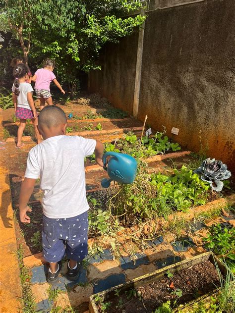 Projeto Sobre Horta Escolar