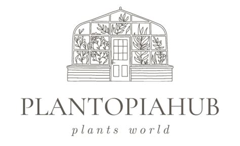 What Plants Need A Lot Of Water Plantopiahub Your Ultimate