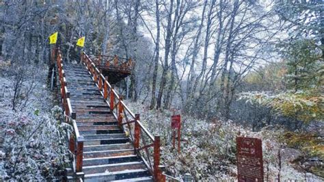 天气 雨快停了！周边多地下雪！新一轮冷空气发货！澎湃号·媒体澎湃新闻 The Paper