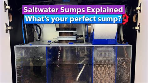 Saltwater Aquarium Sump explained – What's your perfect sump? – HousePetsCare.com