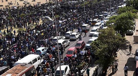 Jallikattu protests live updates: Law, Environment, Culture ministries ...