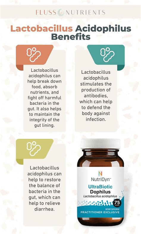 Lactobacillus Acidophilus Benefits