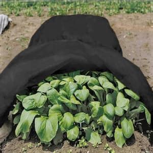 Agfabric Ft X Ft Oz Floating Row Cover Garden Fabric Plant