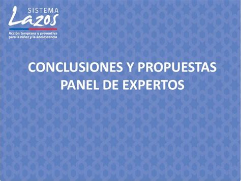 Pdf Conclusiones Y Propuestas Panel De Expertoslazos Spd Gob Cl