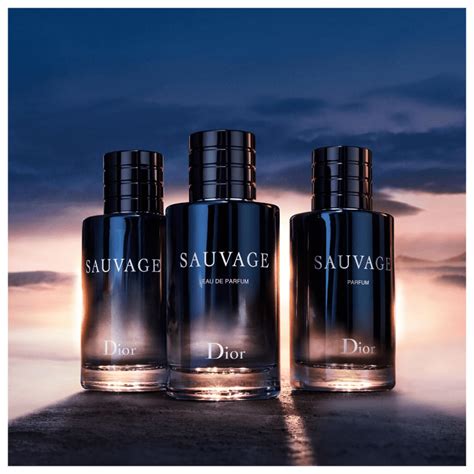 Perfume Importado Sauvage Dior Masculino 200ml Beleza Na Web