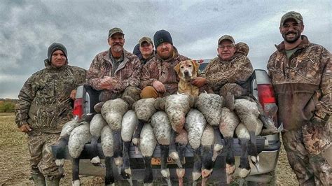 Resident Canada Goose Hunting in MD WV NY - DOA Outfitters - Big Game ...