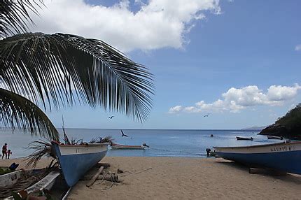 Anse Dufour Mer Anse Dufour C Te Sous Le Vent Martinique