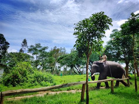 A Road Trip From Mysore To Coorg Travel Kit Savaari Car Rentals Blog