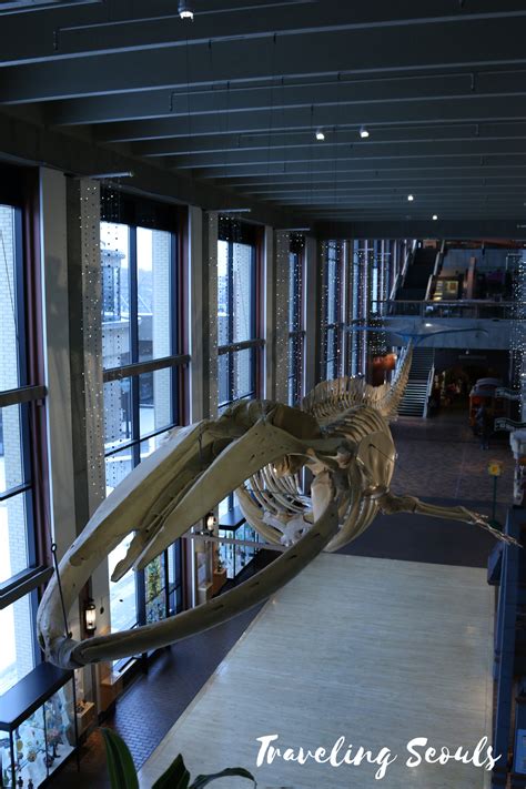 Photo Essay: Grand Rapids Public Museum