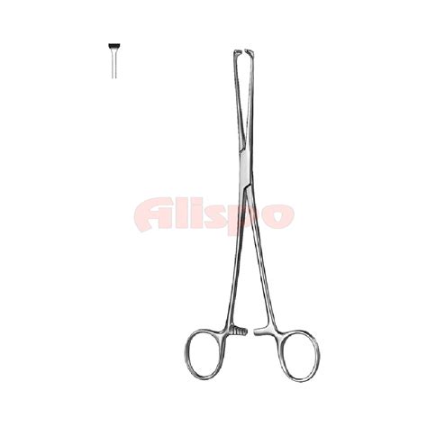 Intestinal And Tissue Grasping Forceps Alispo International