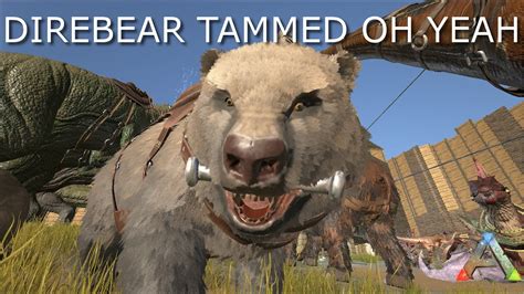 DIRE BEAR TAMMED ARK SURVIVAL EVOLVED YouTube