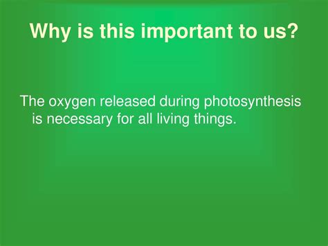 Photosynthesis And Respiration Ppt Download