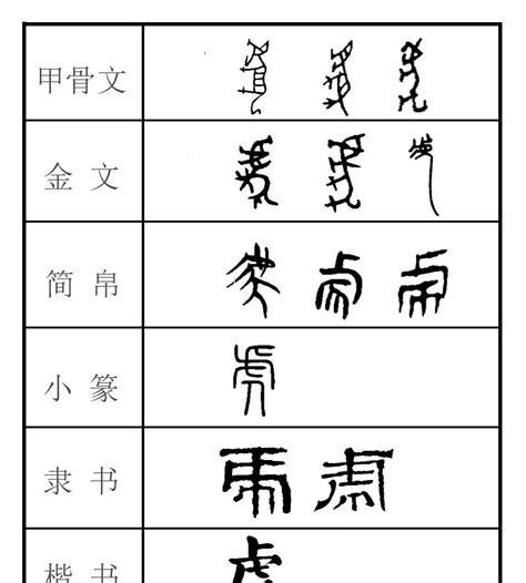 袁靖：虎年说虎 虎形 遗址 鲁国 新浪新闻