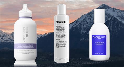 8 Best Shampoos For Gray Hair In 2023 Usweekly