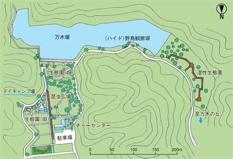 生態園 湿性 千葉県いすみ環境と文化のさとセンター