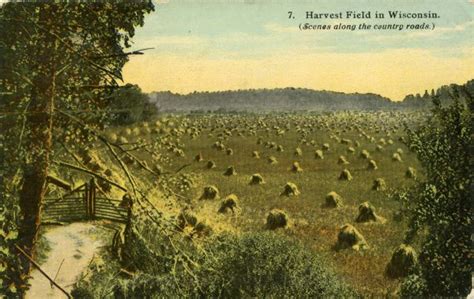 Harvest Field In Wisconsin Postcard Wisconsin Historical Society