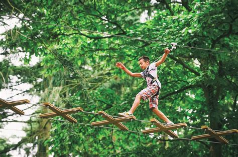 30offlocal Go Ape Zipline And Adventure Park Treetop Journey Ticket