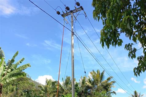 Pln Hadirkan Jaringan Listrik Pada Tiga Desa Di Alor Antara News