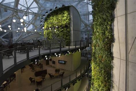 Inside Amazon's Spheres, photos of the new Seattle rainforest offices | Fortune.com Sustainable ...