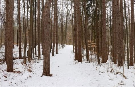 Winter Survival, Pokagon State Park - State of Indiana