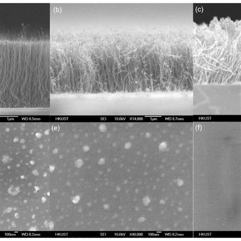 Sem Images Of Vertically Aligned Carbon Nanotubes Cnts Grown At A