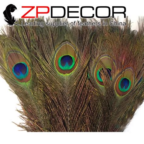 Zpdecor Unids Lote Cm Pulgadas Hermosa Pluma De Pavo