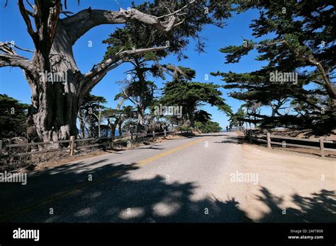 Paid Coastal Route 17 Mile Drive On The Monterey Peninsula Between