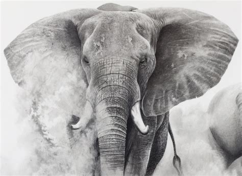 Elephant Pencil Art The Majestic Beauty Of Nature Captured In Graphite