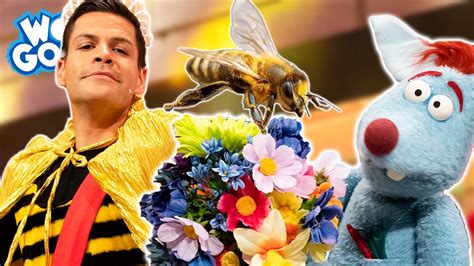 Wie Machen Bienen Honig L Woozle Goozle Youtube