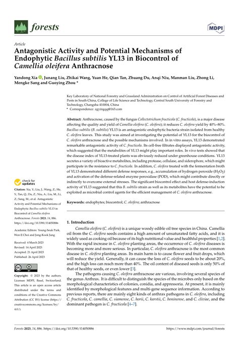 PDF Antagonistic Activity And Potential Mechanisms Of Endophytic