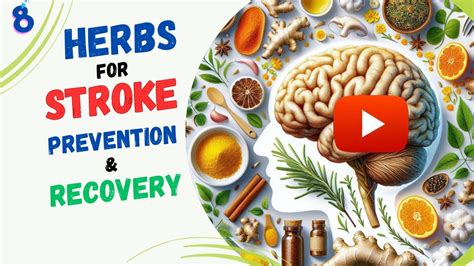 How To Prevent And Recover From Stroke With These Herbs Effective Natural Approach That Works