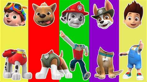 Cocomelon Paw Patrol Match The Head Youtube