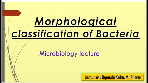 Morphological Classification Of Bacteria Microbiology Lecture I Pharmacy Science Lectures