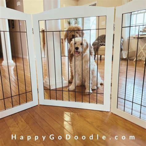 Best Folding Dog Gate (2024) - Happy-Go-Doodle®