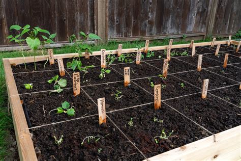 Square Foot Gardening Planting Guide Mother Earth News