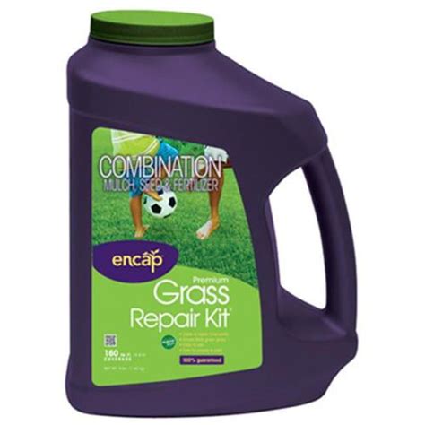 Encap 11041-6 Grass Seed Repair Kit, Covers 160-Sq. Ft. - Quantity 1 ...