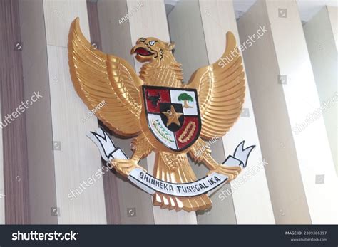 top  garuda bird images amazing collection garuda bird images full