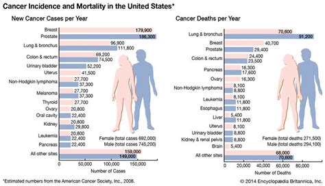 Cancer Definition Causes Types And Treatment Britannica